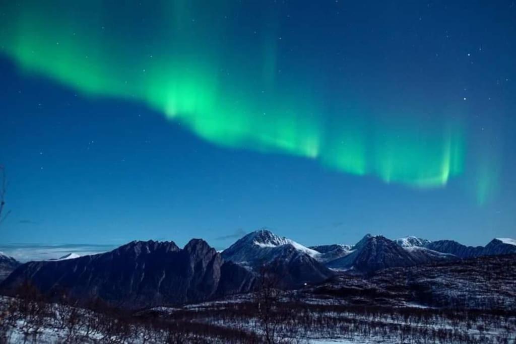 Innsletta * Harstad