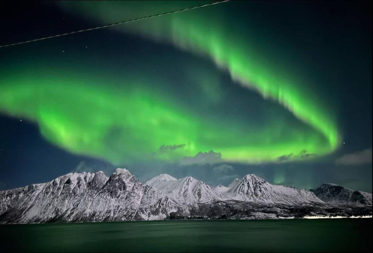 Innsletta * Harstad